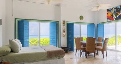Rum& Little Barron Villa: Your North Side Haven-Beach, Ocean, Garden Views!