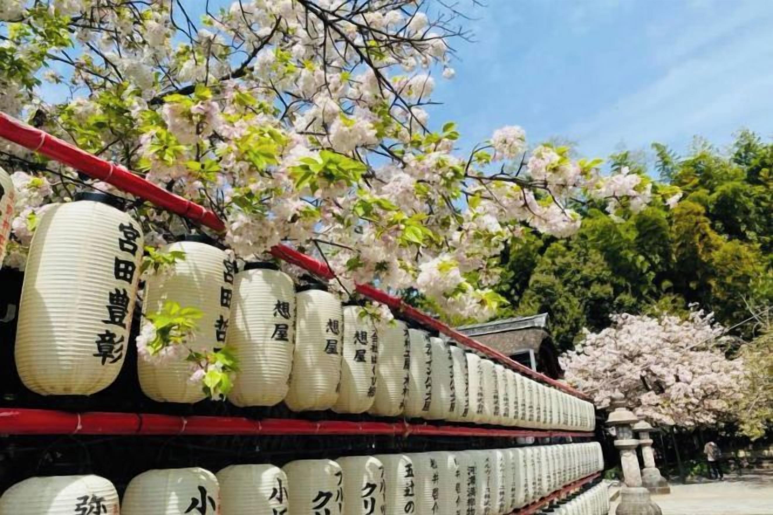 A row of traditional Japanese lanterns with inscriptions, set against a backdrop of cherry blossoms and a traditional building.