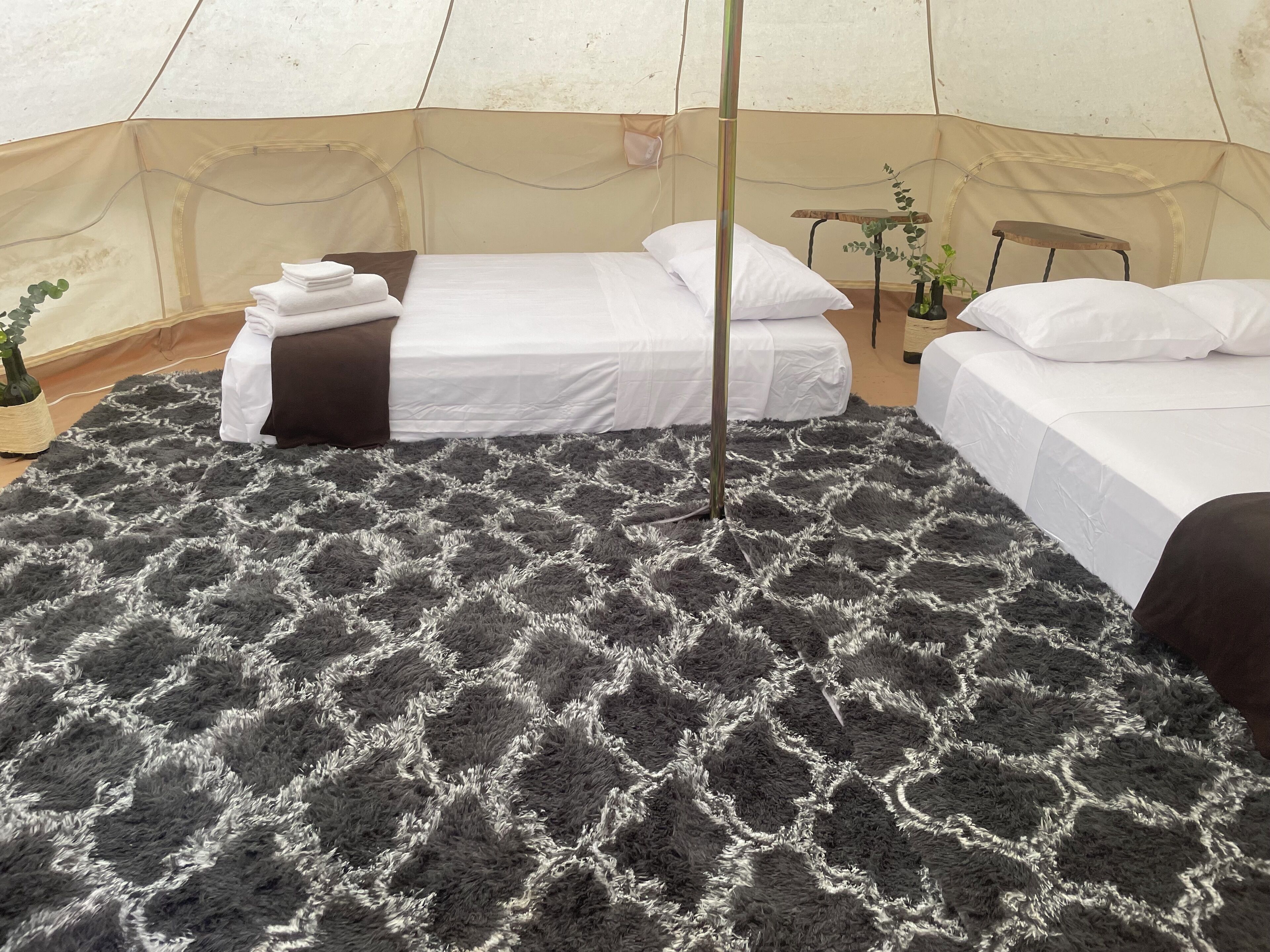 A tented accommodation with two beds, a small table, and a plant.