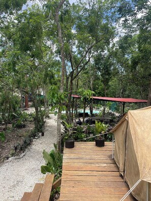 1 chambre, Wi-Fi gratuit