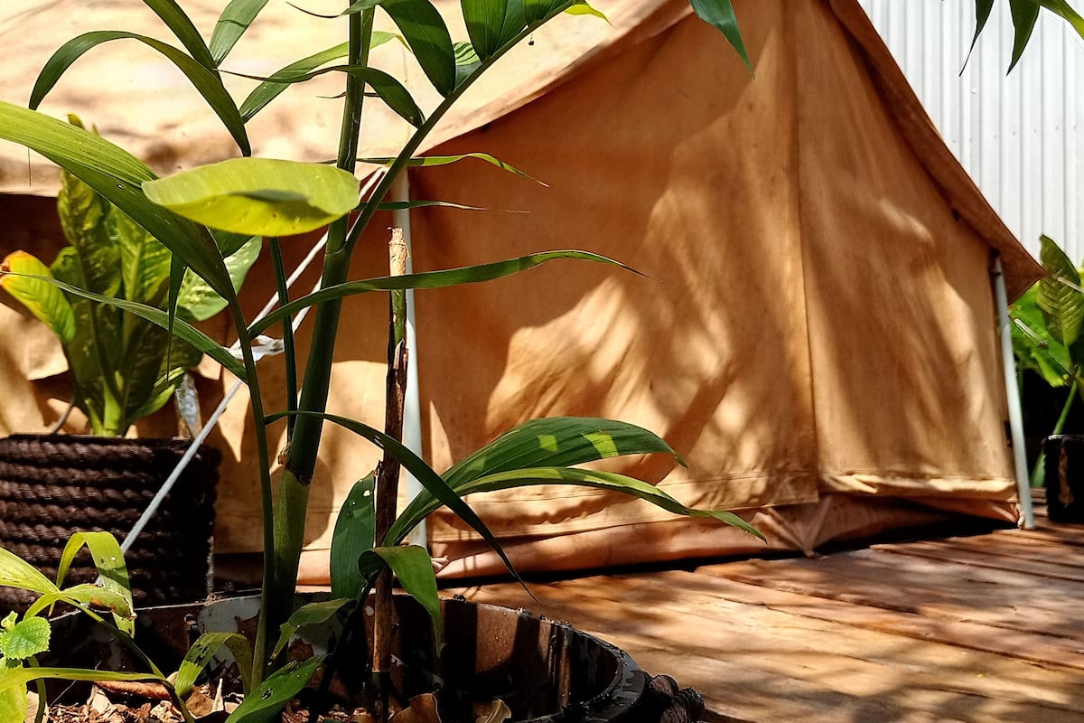 Een tent met een bruin dak, omgeven door groene begroeiing.