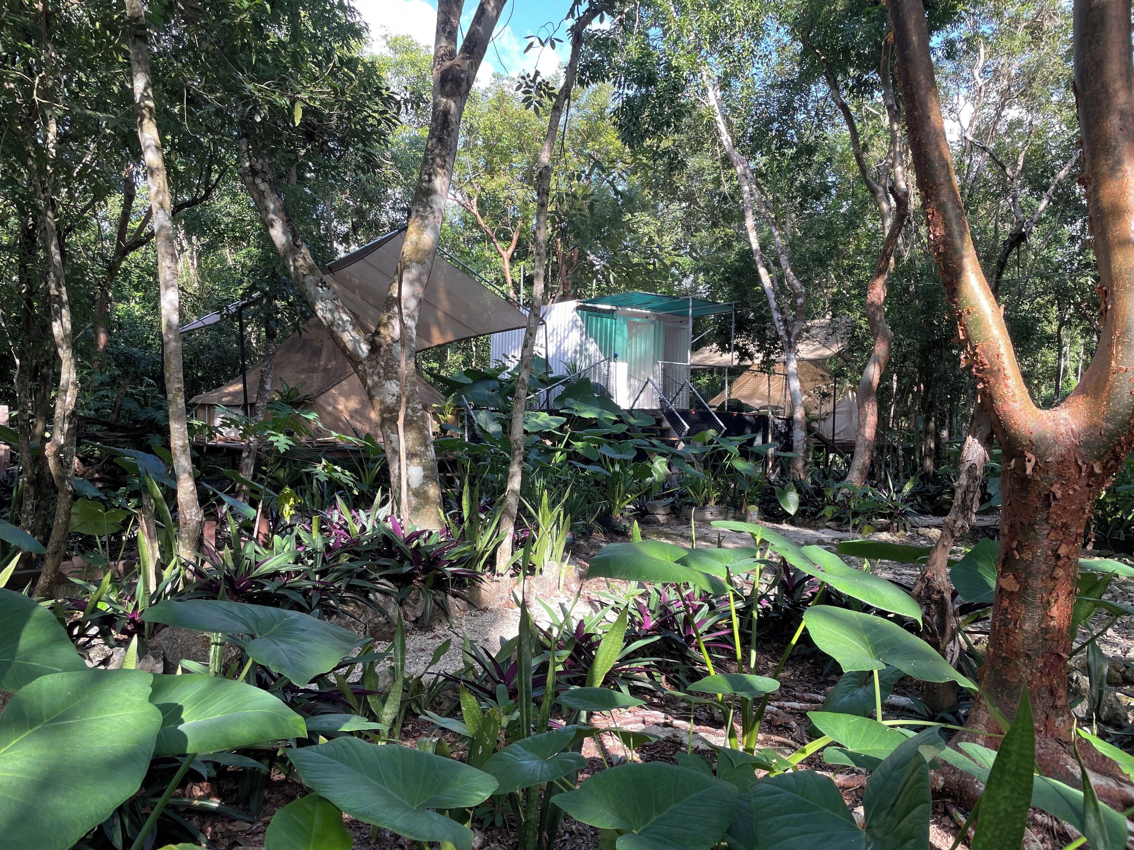 Luksustelt, hageutsikt, ved basseng | Eksteriør