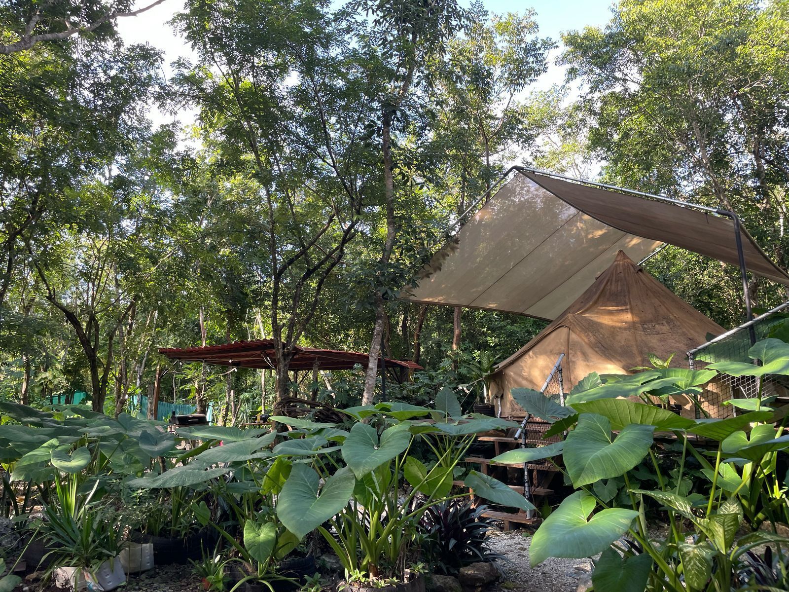 Luksustelt, hageutsikt, ved basseng | 1 soverom og wi-fi (inkludert)