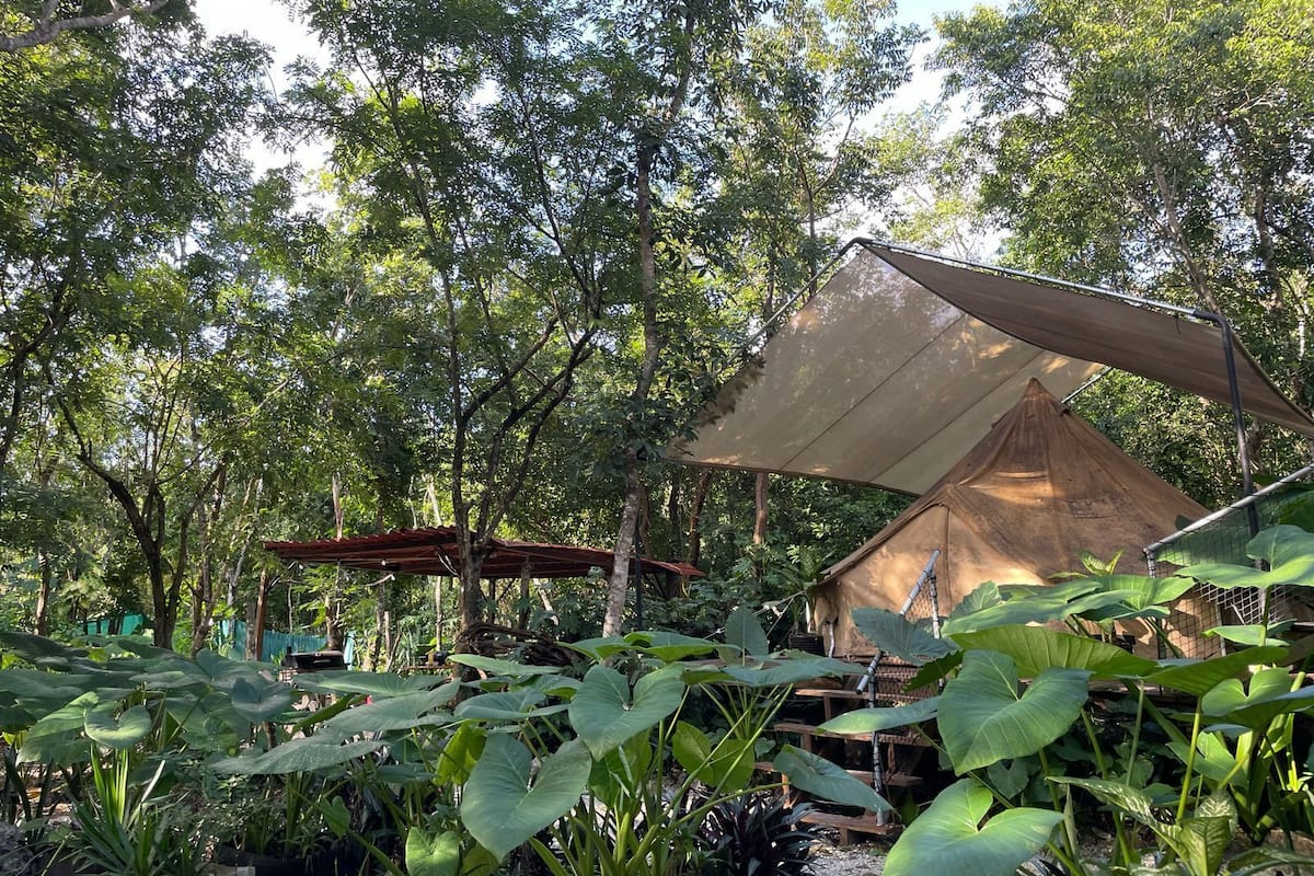 Luxe tent, uitzicht op tuin, aan het zwembad | 1 slaapkamer, gratis wifi, beddengoed