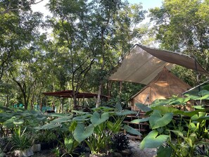 1 chambre, Wi-Fi gratuit