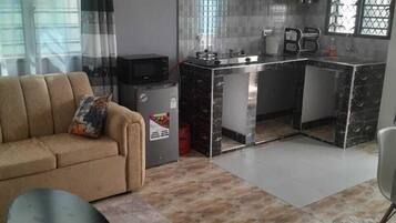 Comfort Apartment, 1 Queen Bed, Private Bathroom | Living area