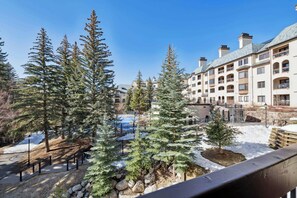 Property grounds - The Charter at Beaver Creek C1205 - Mountain Living (Beaver Creek)