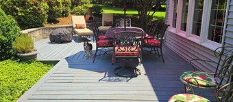 Gracious Lower Level Family Suite