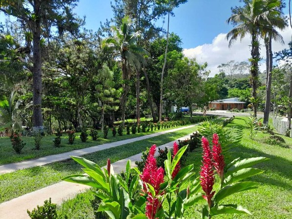 Property grounds - Casa Grande Para 5-12 Personas, Complejo Turistico Fuga Ecolodge (Carara)