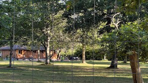 A fenced outdoor area with a wooden building and trees. - Location Atypique Dans un Airial Landais (Mimizan)