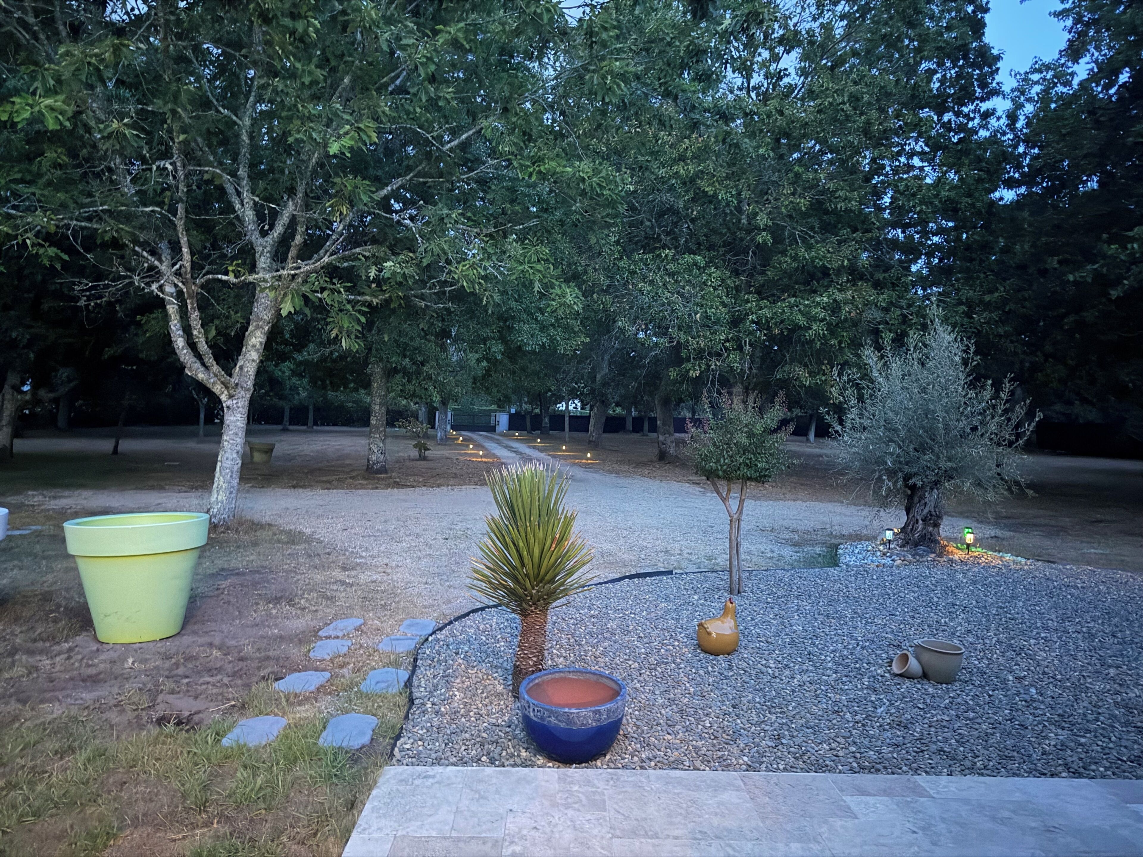 A landscaped garden with a gravel path, potted plants, and a small tree.