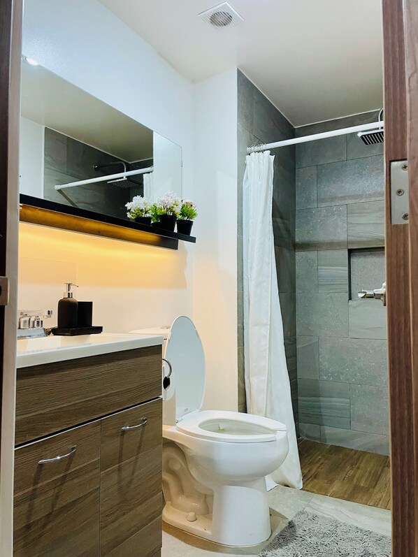 Secadora de cabello, toallas, jabón, papel de baño 