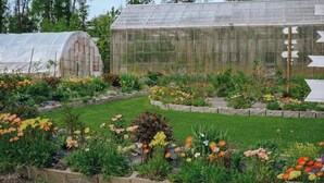 A greenhouse with a transparent roof, surrounded by a variety of flowering plants and a well-maintained garden. - Peaceful Acres Cabin 2 - Eagle's Nest  (Soldotna)