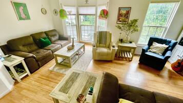 Smart TV, fireplace, books