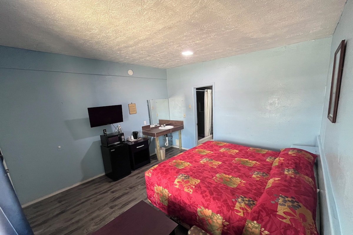 A hotel room with a bed, a desk, a television, a sink, and a shower.