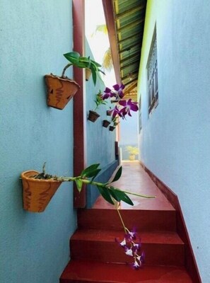 Property grounds - Surangani Villa (Dikwella)