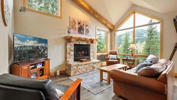 Smart TV, fireplace, books