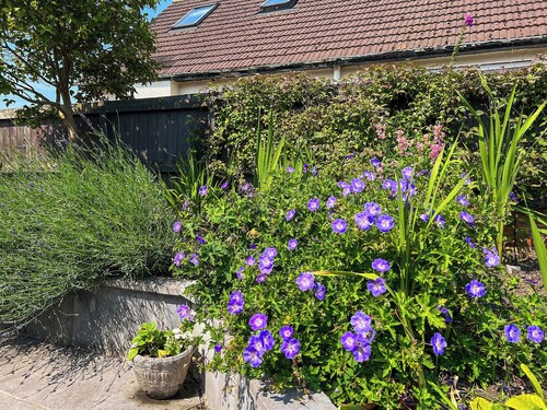 2 bedroom accommodation in Cardiff