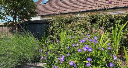 2 bedroom accommodation in Cardiff