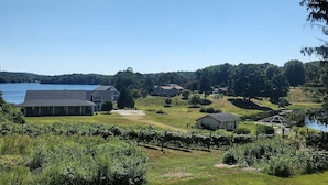 A residential area with houses, a vineyard, and a lake. - The Cottage Inn At Amos Lake (Preston)