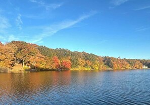 A calm lake with autumn foliage and a clear sky. - The Cottage Inn At Amos Lake (Preston)