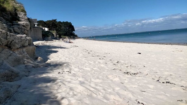 Platja sorrenca amb un mur de pedra i arbres al costat esquerre, que desemboquen al mar.