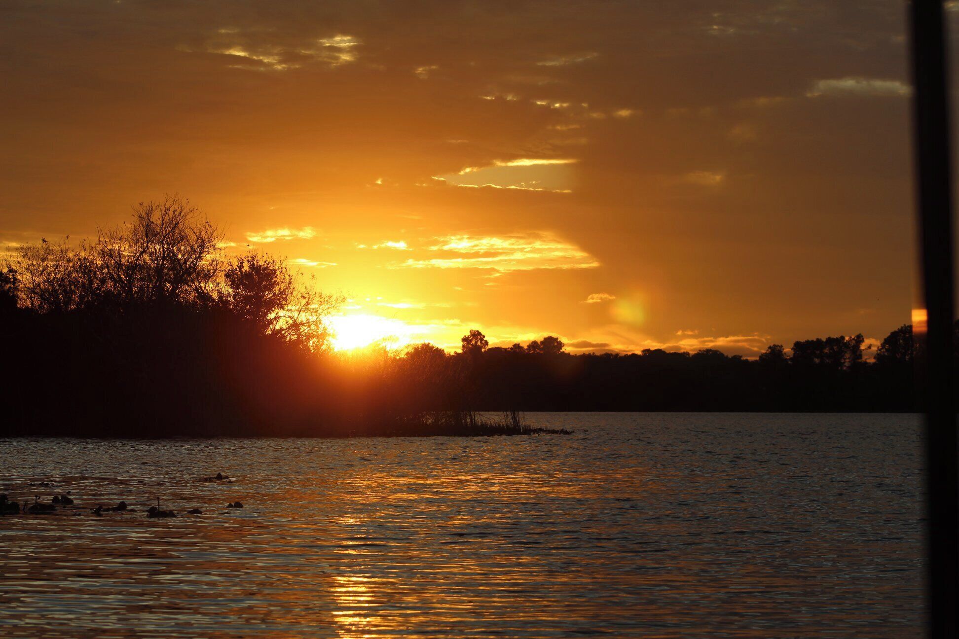 Un atardecer sobre un cuerpo de agua, con siluetas de árboles y una pequeña isla.