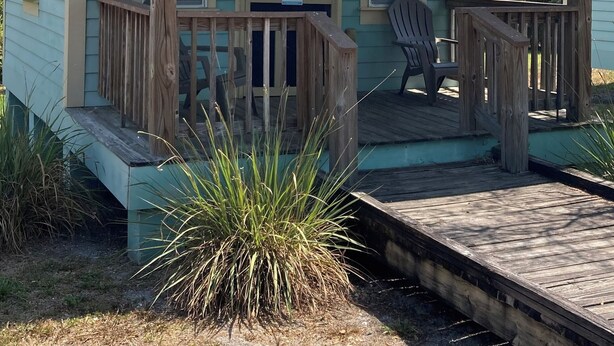 Terrace/patio - Jiggs Landing, Cabin 2 - Bird Land Bunk House (Manatee County)
