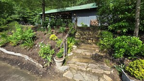 A rustic cabin with a stone pathway leading to a wooden door, surrounded by lush greenery and a variety of plants.
