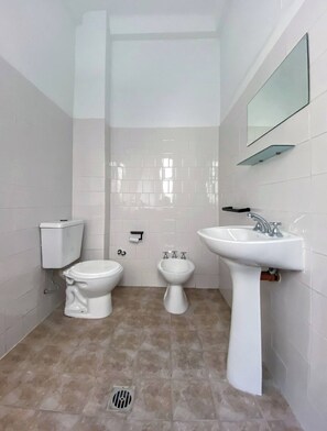 Shower, hair dryer, bidet, towels