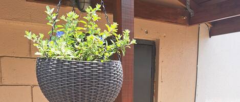 تفاصيل الفندق من الخارج