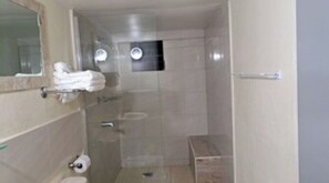 Shower, towels, soap, toilet paper
