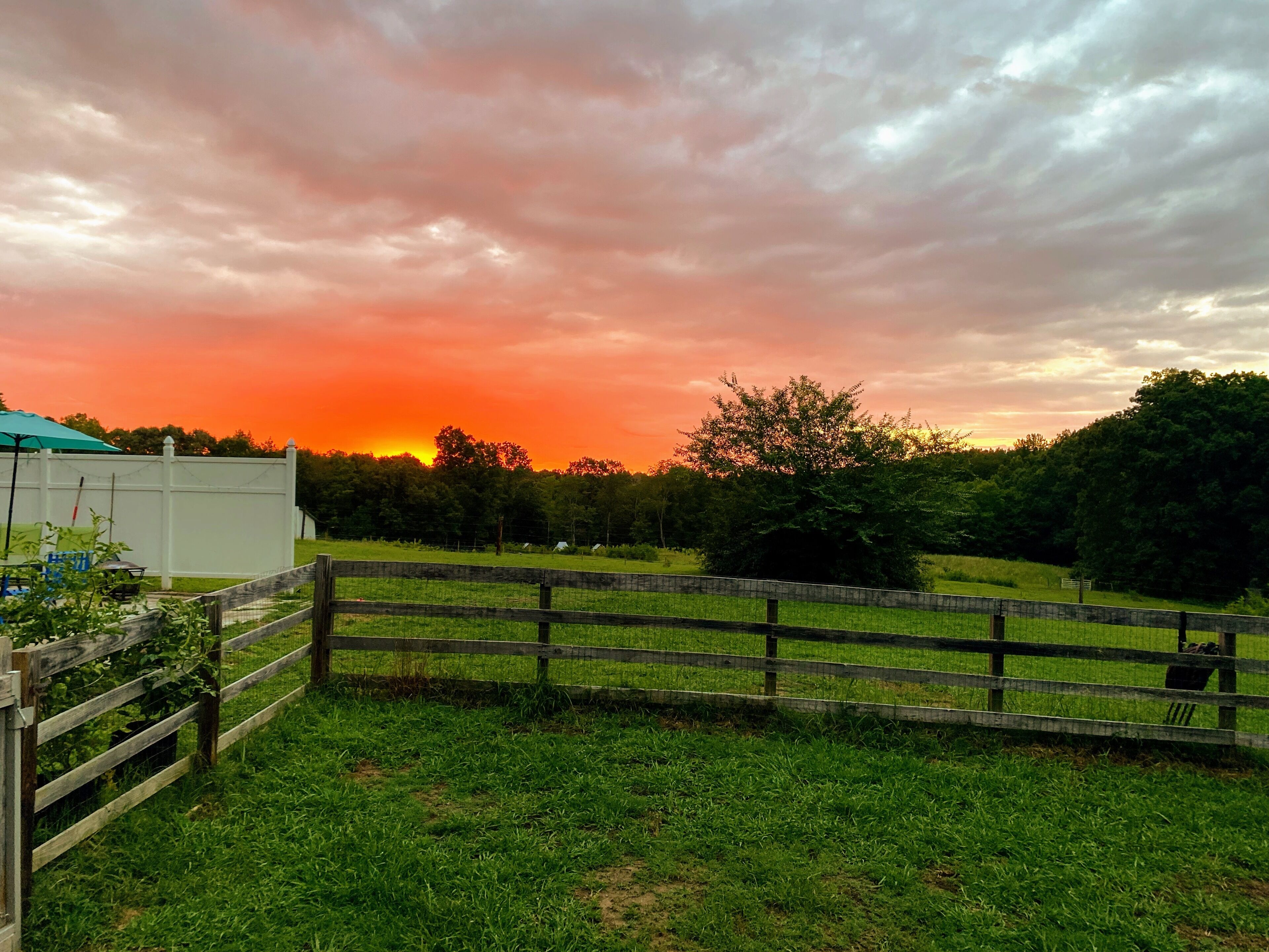 Enceinte de l’hébergement