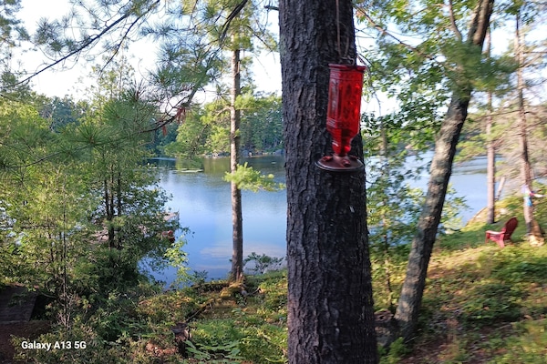 view from deck off kitchen
