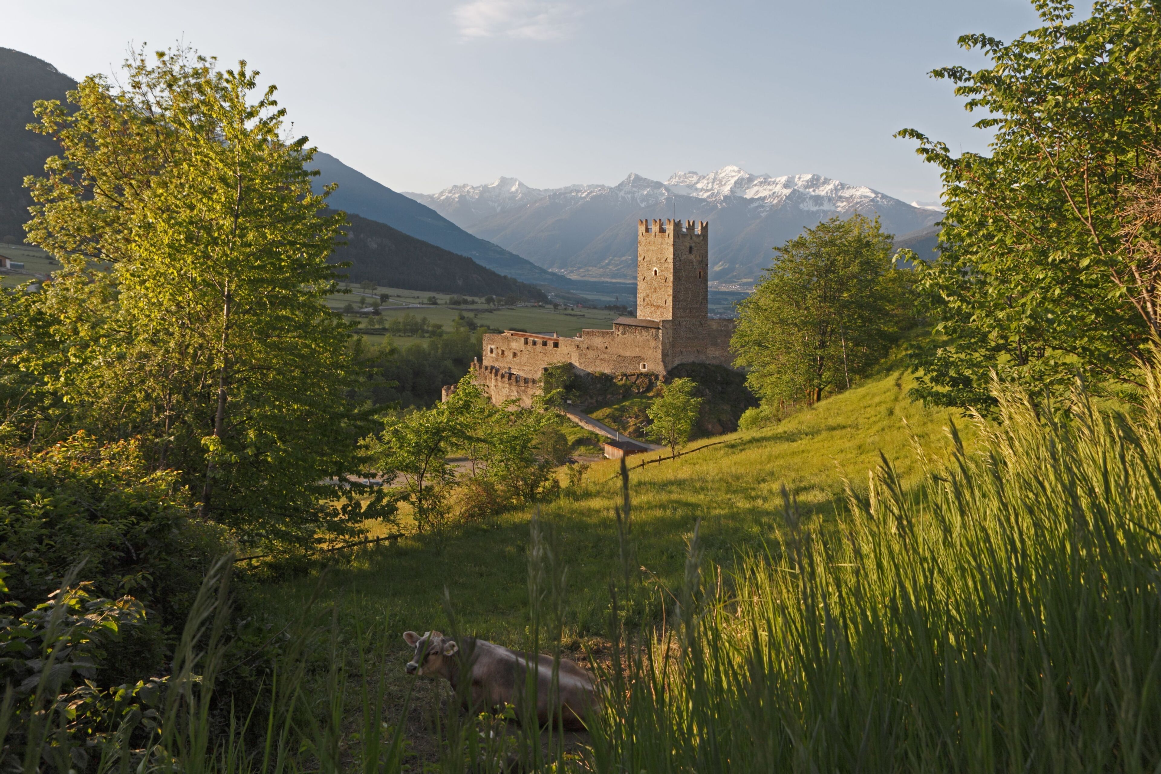 A castle with a tower, surrounded by greenery and mountains.