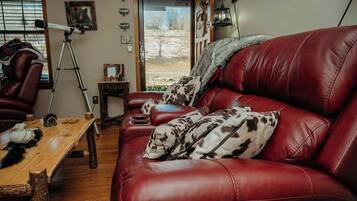 Smart TV, fireplace, video games, DVD player