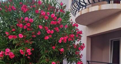 Pansion Belvedere - Double Room with Balcony 15