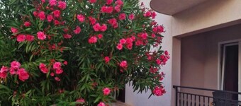 Pansion Belvedere - Double Room with Balcony 15