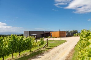 A modern building with a gravel driveway leading to a vineyard. - 89 In The Vines, Martinborough (Martinborough)