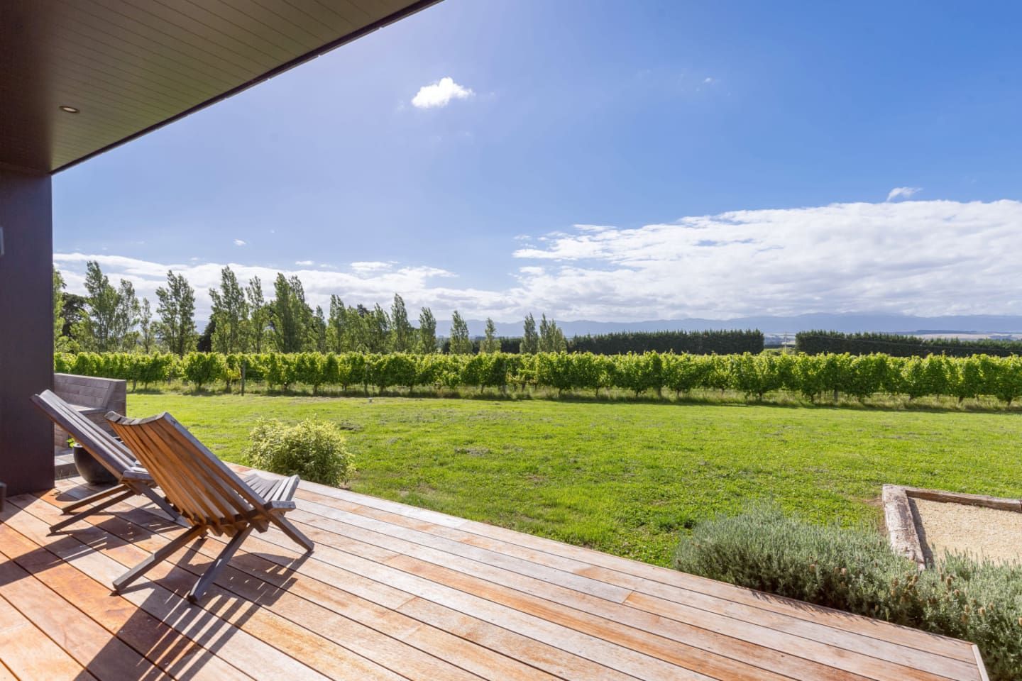 A wooden deck with two lounge chairs, a vineyard in the background, and a clear sky.