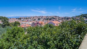 A panoramic view of a coastal town with terraced houses, a prominent church spire, and lush greenery in the foreground.