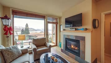 TV, fireplace, DVD player, books