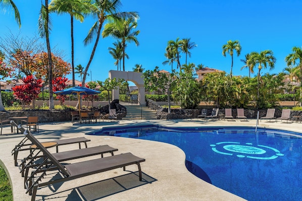 A swimming pool with lounge chairs and palm trees.