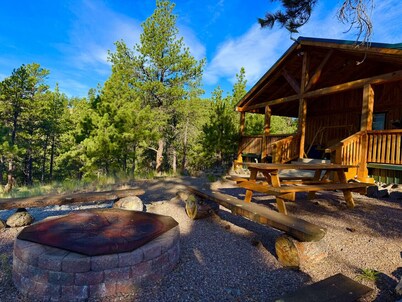 Off Grid Cozy Private Cabin