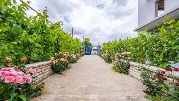 Un sentier bordé de luxuriantes vignes vertes et de fleurs épanouies, qui mène à un bâtiment sur lequel on peut voir une enseigne bleue.
