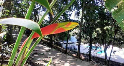 Cabaña Para 4 Personas Complejo Turístico Fuga Ecolodge