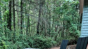Un espacio al aire libre con una mesa rectangular y dos sillas Adirondack, rodeado de grava y un bosque denso.