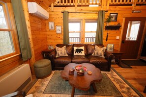 Smart TV, fireplace, DVD player, books