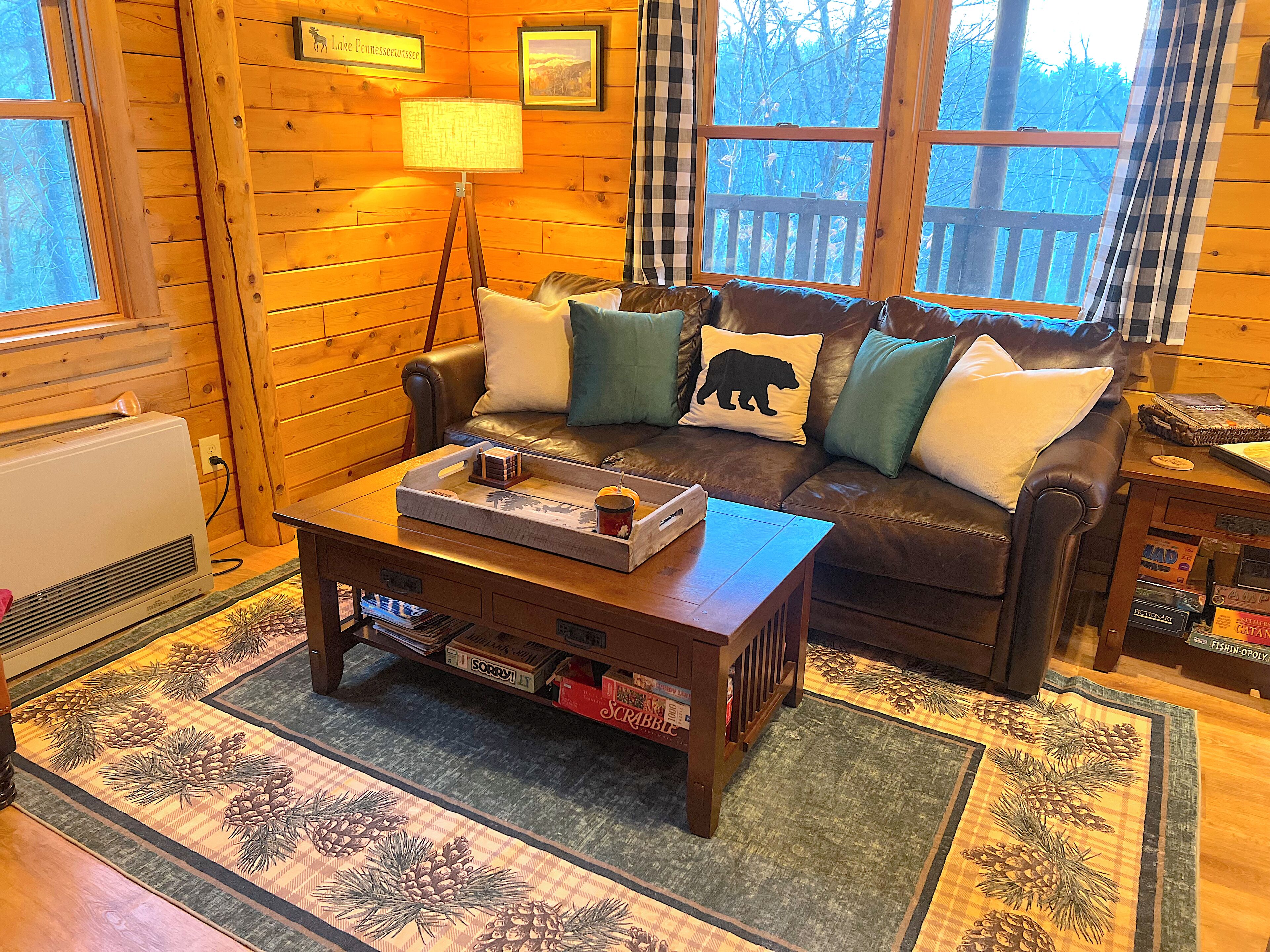 Smart TV, fireplace, DVD player, books