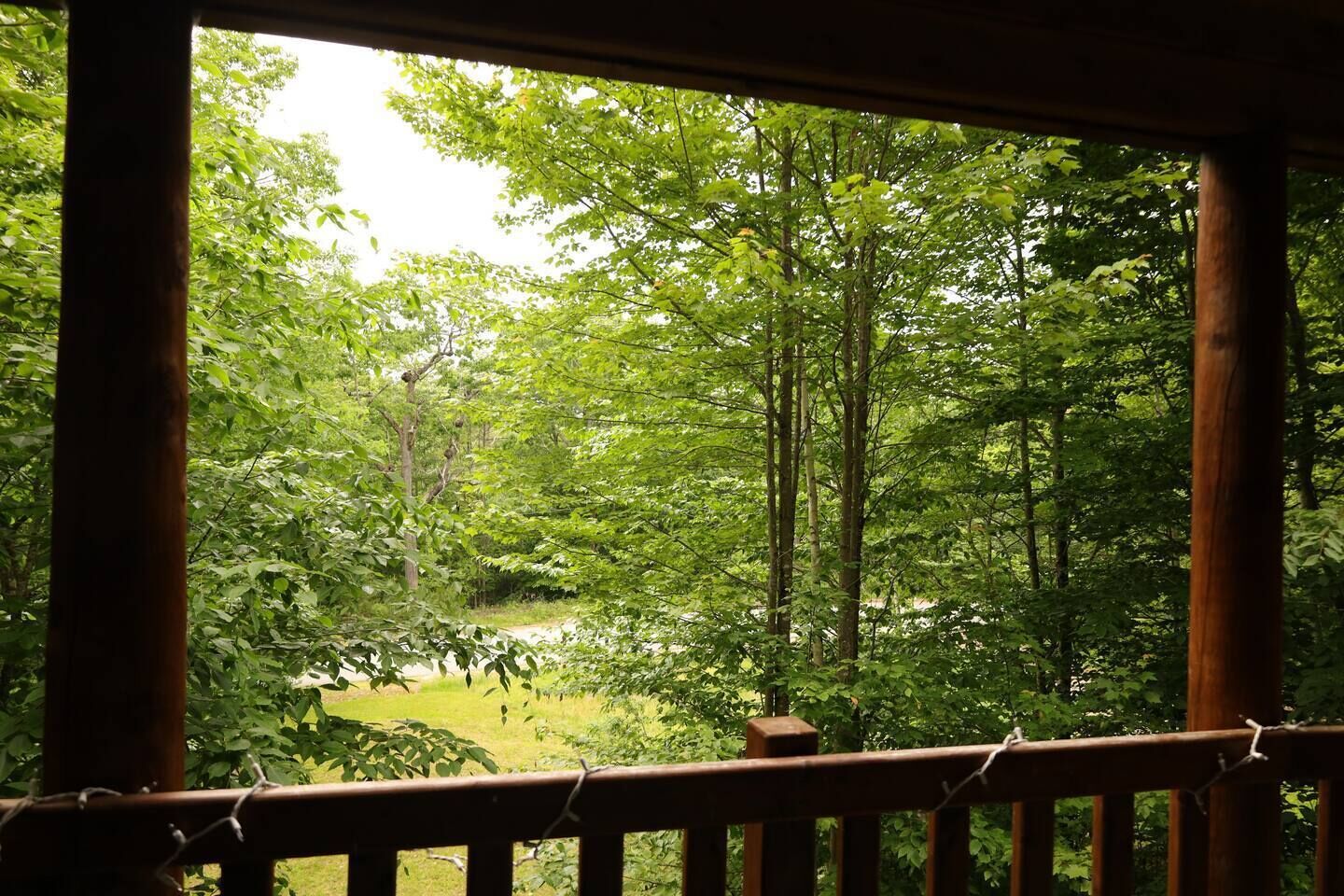 Summer views from the porch.